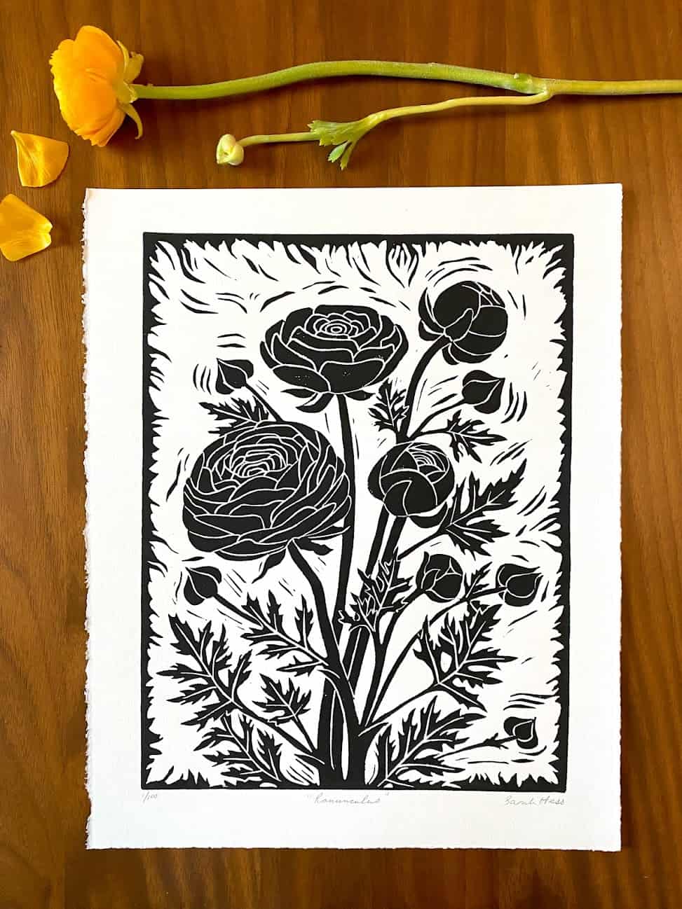 Ranunculus Bland White Block Print 1